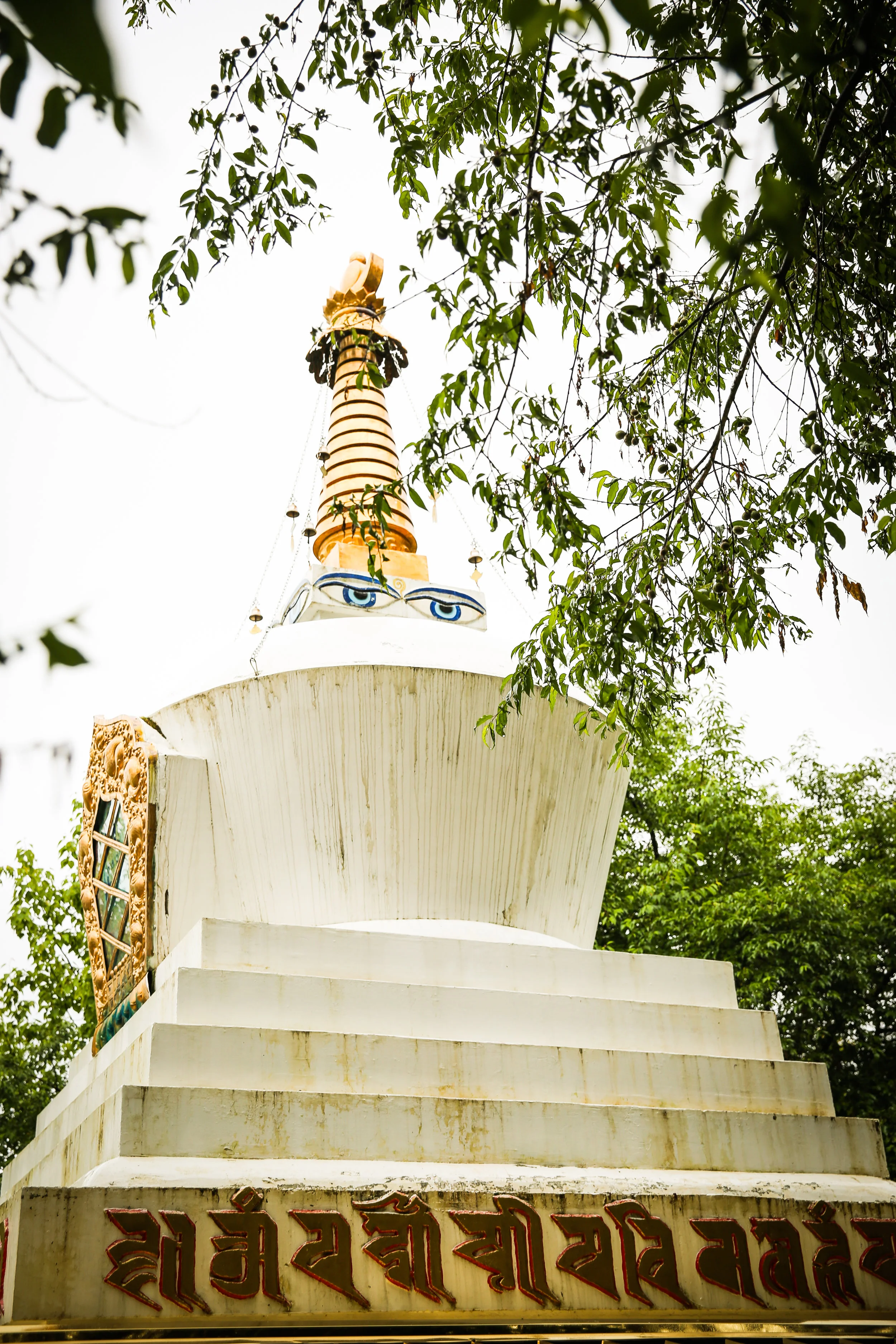 tibet-116.jpg