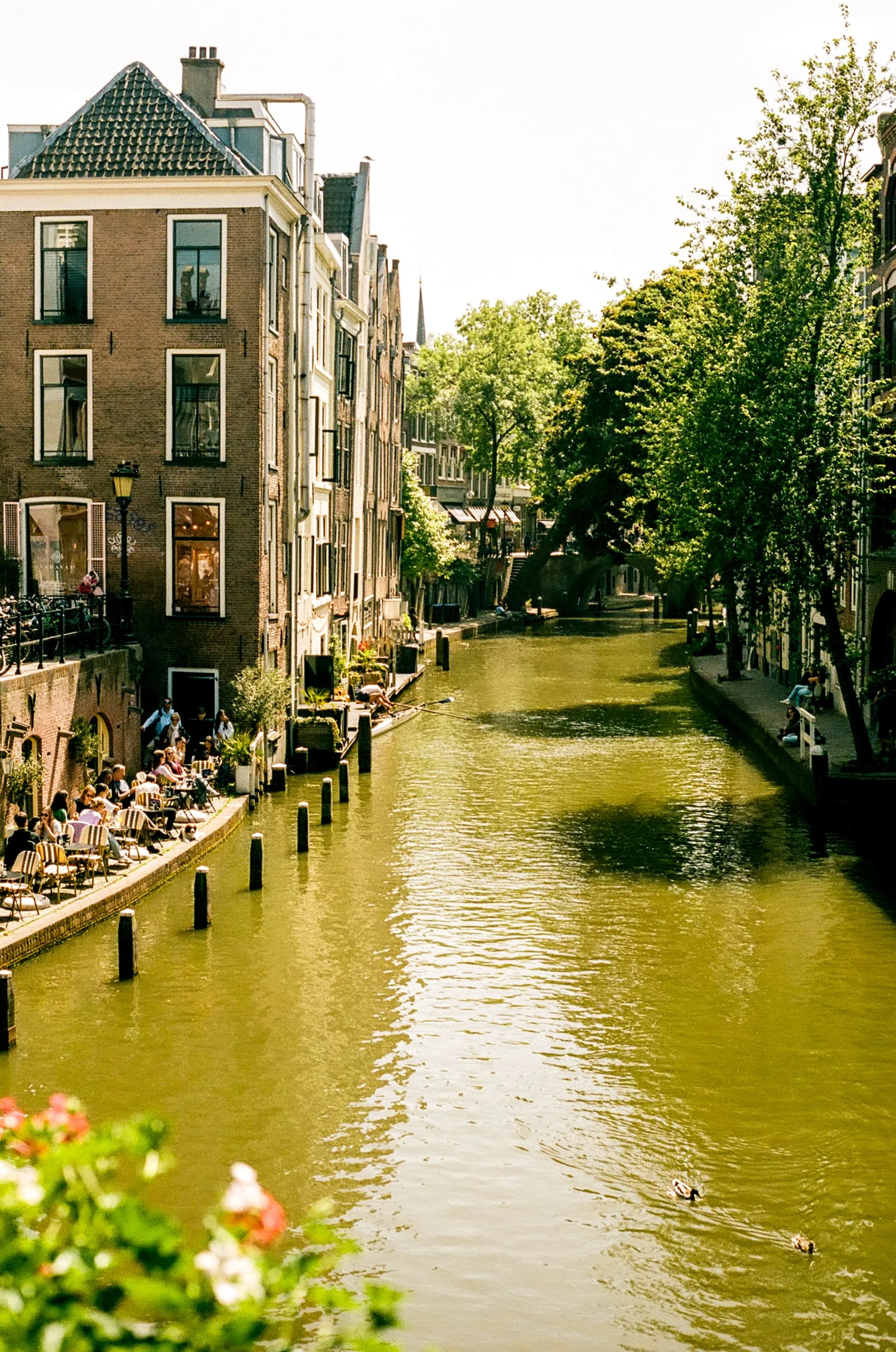 netherlands-31.jpg