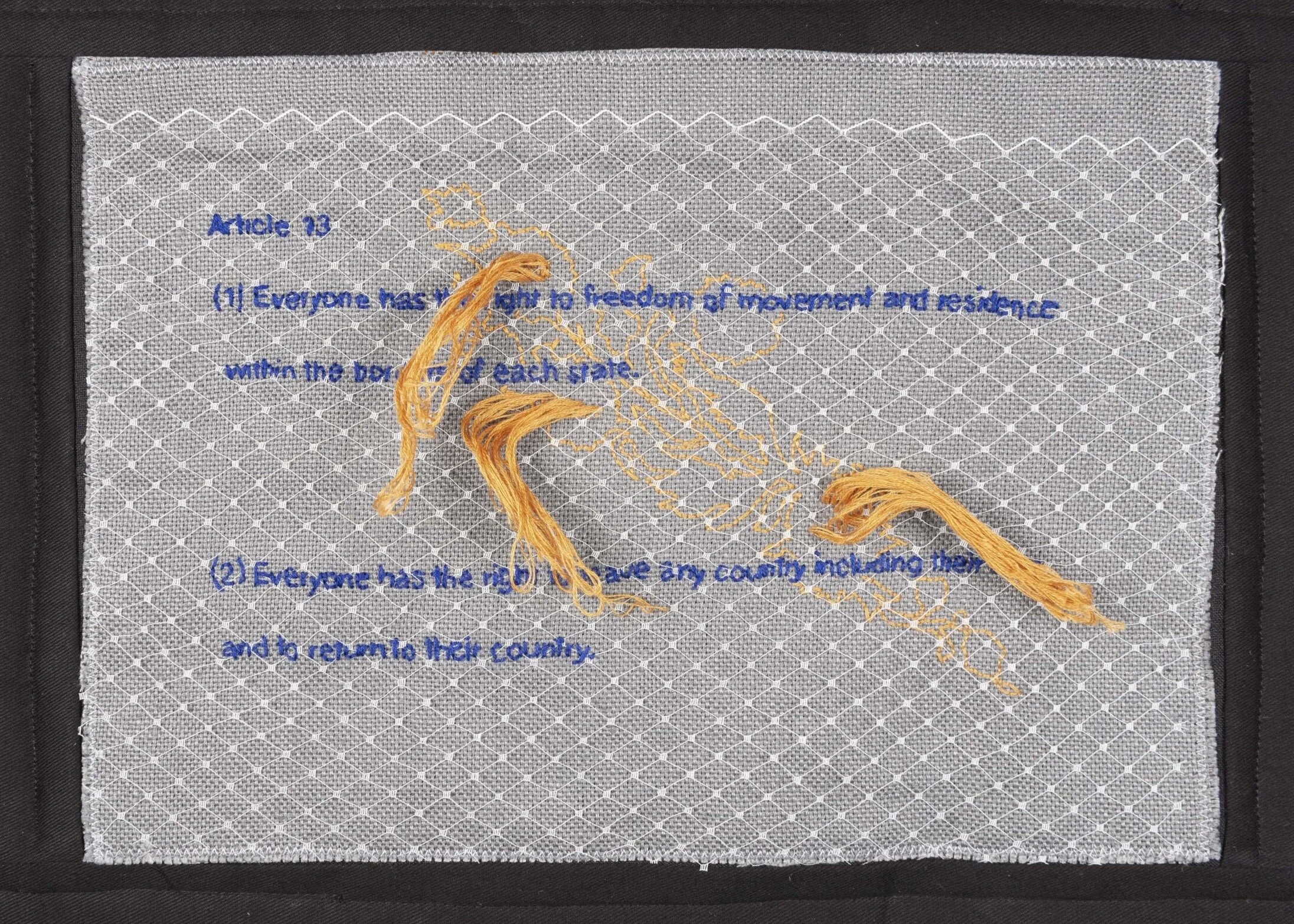 article thirteen | sarah pedlow