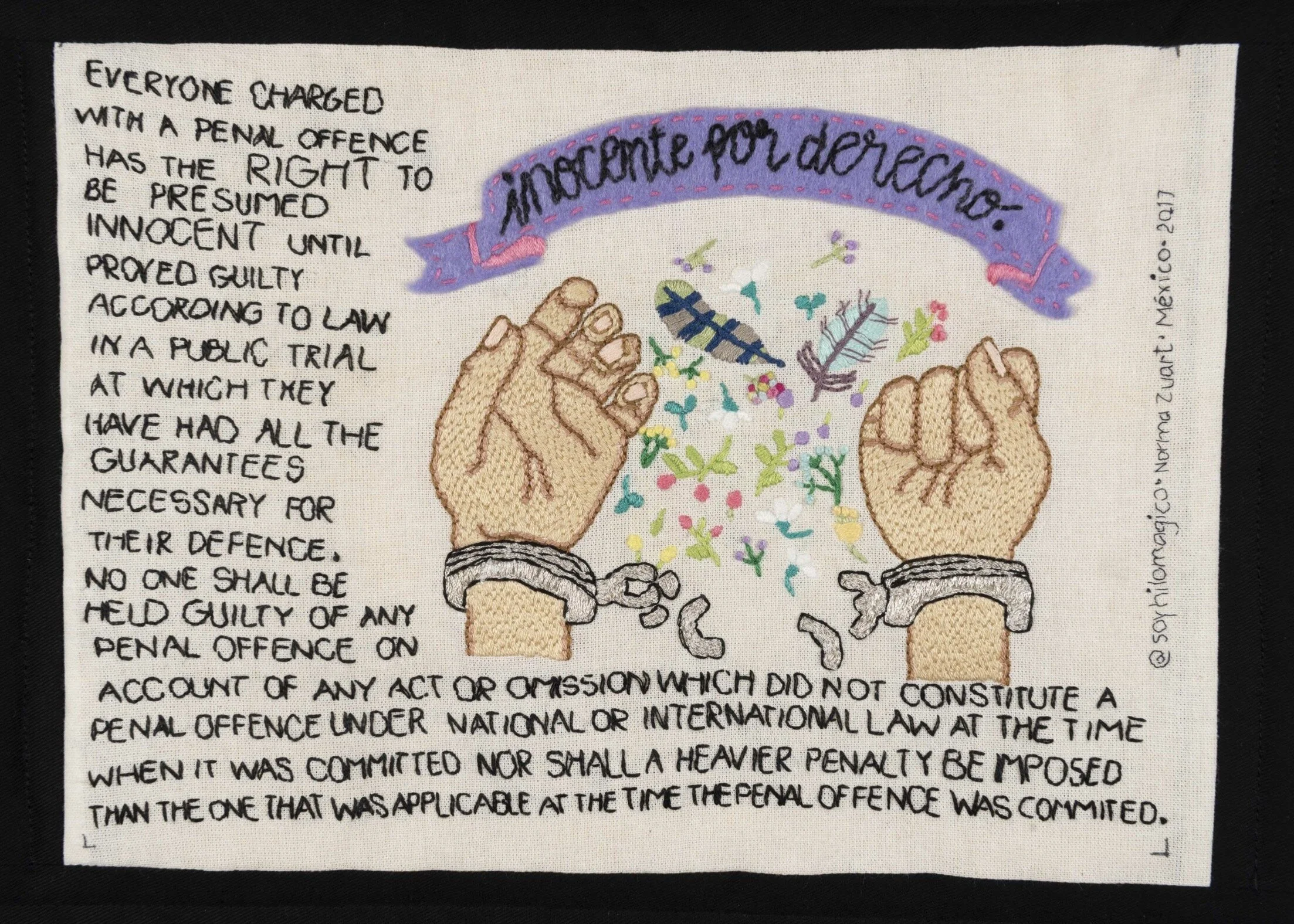 article eleven | hilo magico