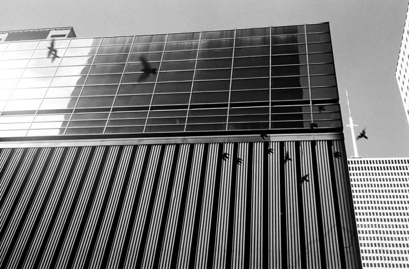 DuelTowers-Houston-FilNenna-(c) (26).jpg