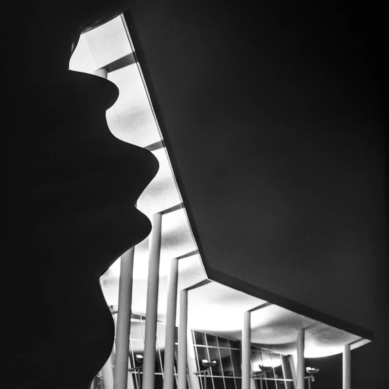 SlantedHouston-FilNenna-(c) (1).jpg