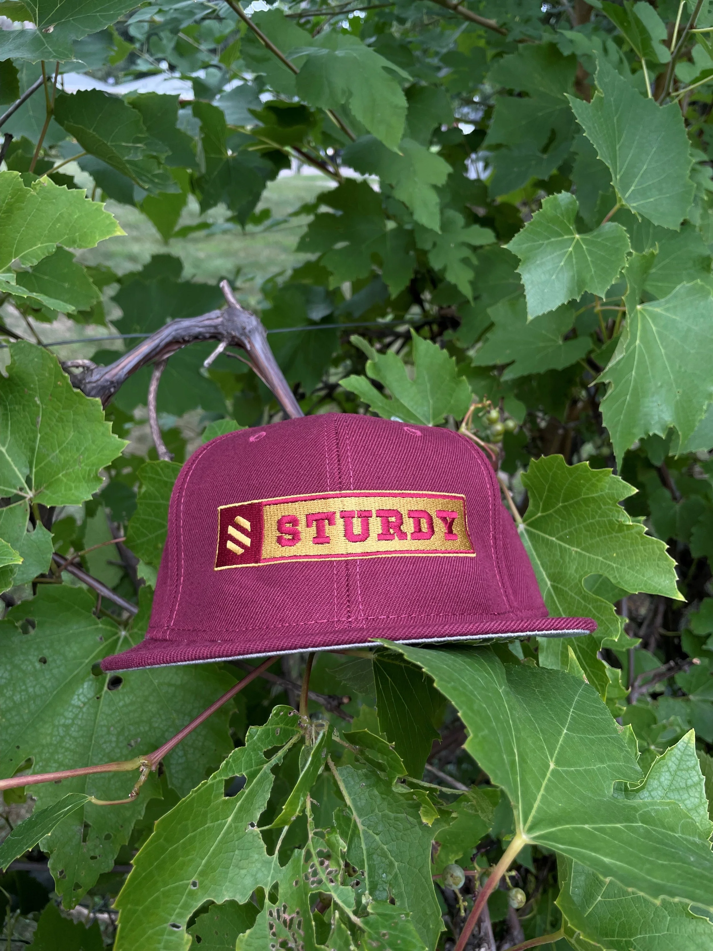 sturdy cap burgundy.jpg