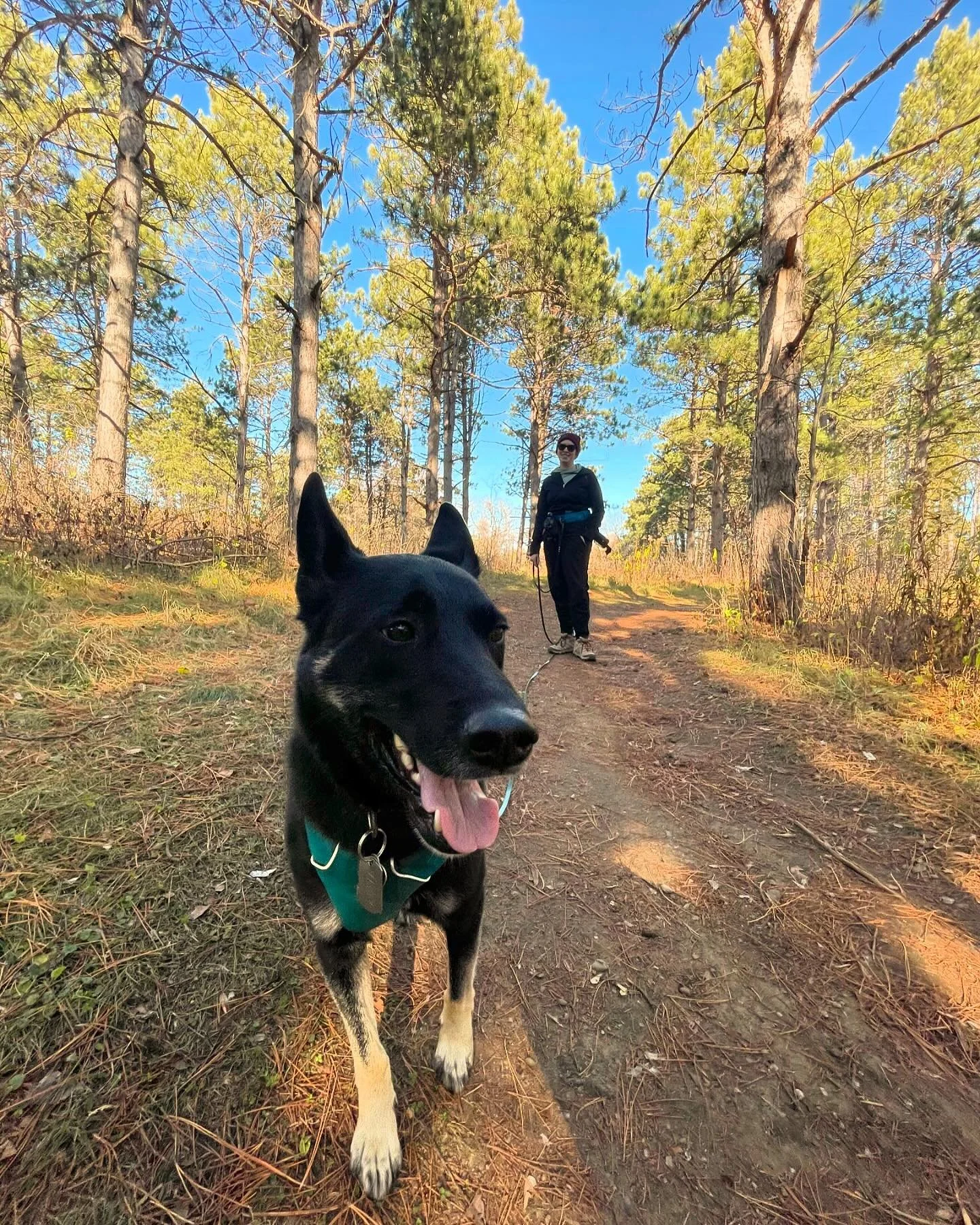 Now more than ever we need to make sure that we are making time to do the things we love. 
Those chores will be there when you get home. 
Get outside. Smell the pines. Breathe the fresh air. Sit in it for a while.