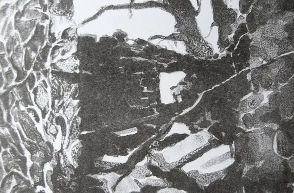 burren4.jpg