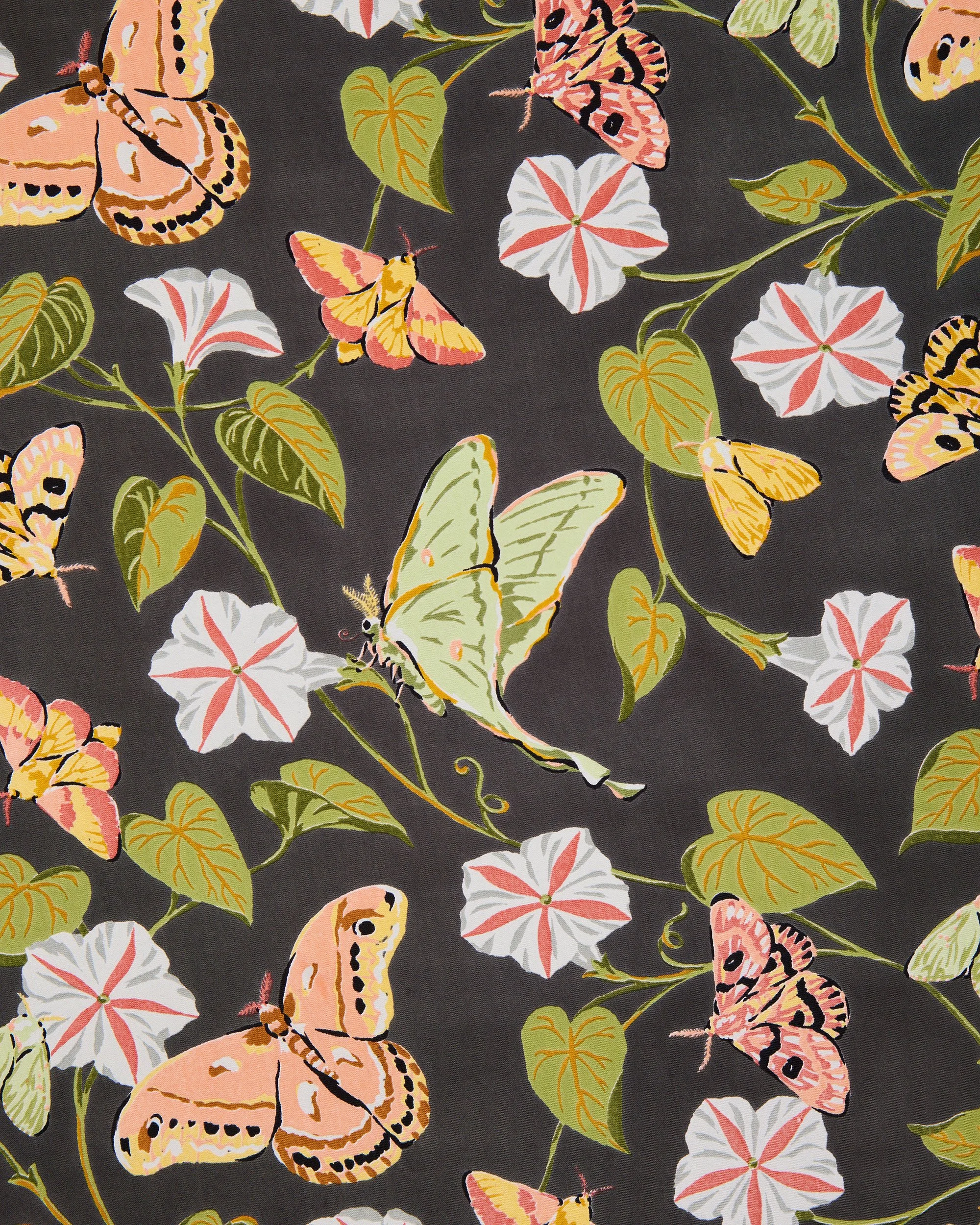  Printfresh  -  Midnight Flutter 