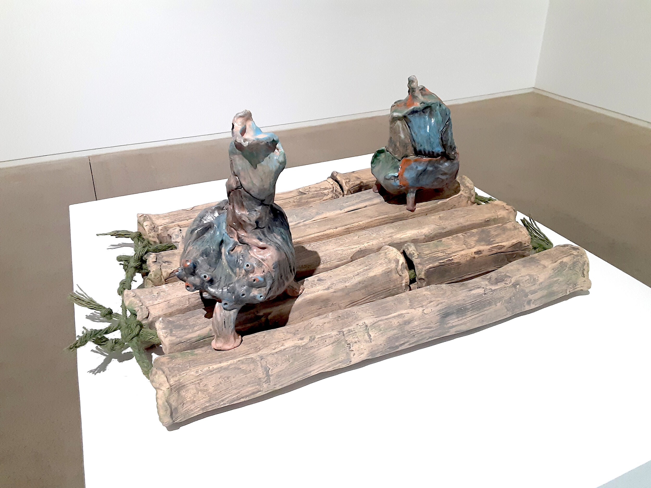 Wild Ceramics on Display at the Blaffer Art Museum, the University of Houston Texas. 2021