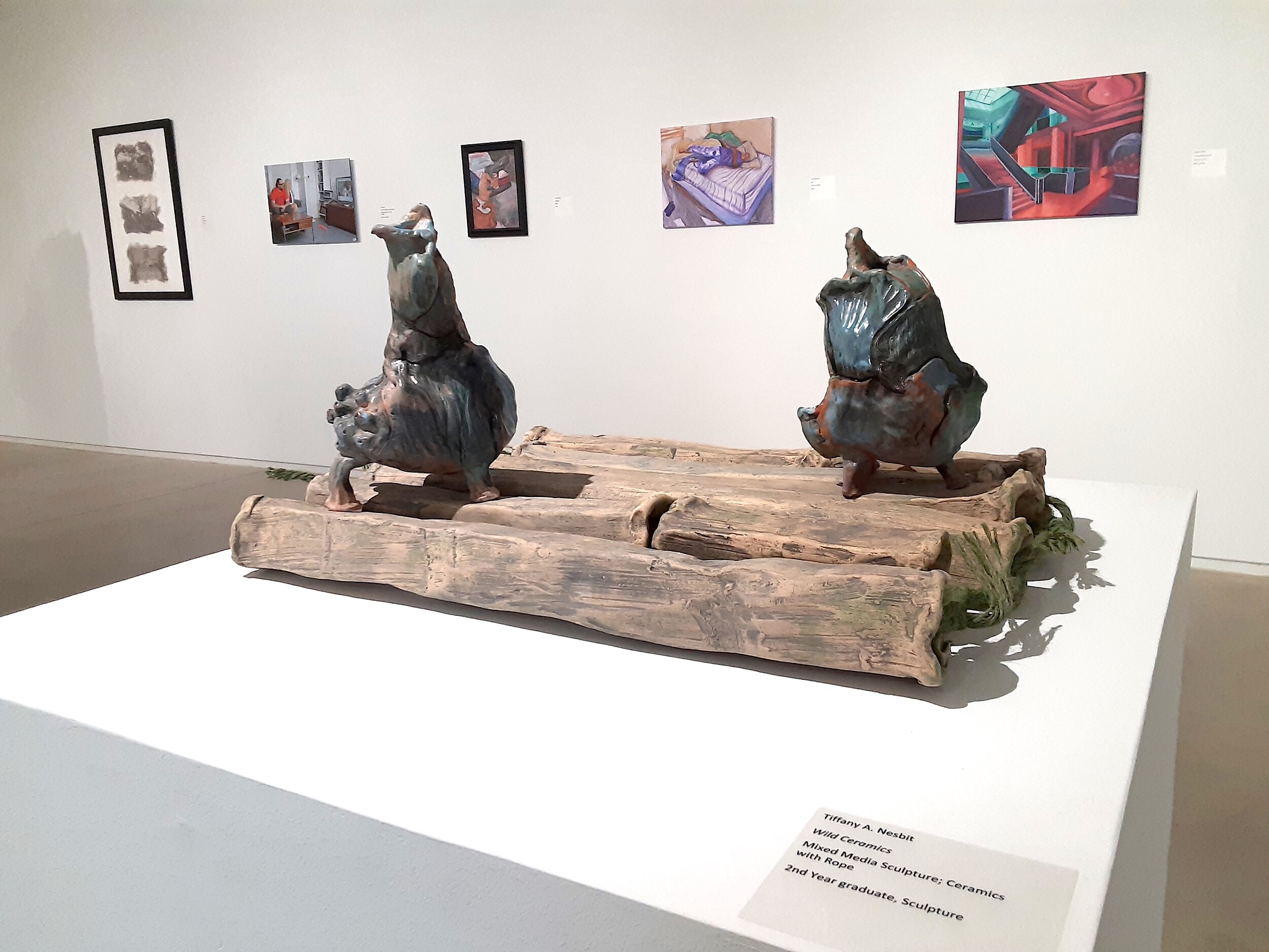 Wild Ceramics (foreground on pedestal), on Display at the Blaffer Art Museum, the University of Houston Texas. 2021