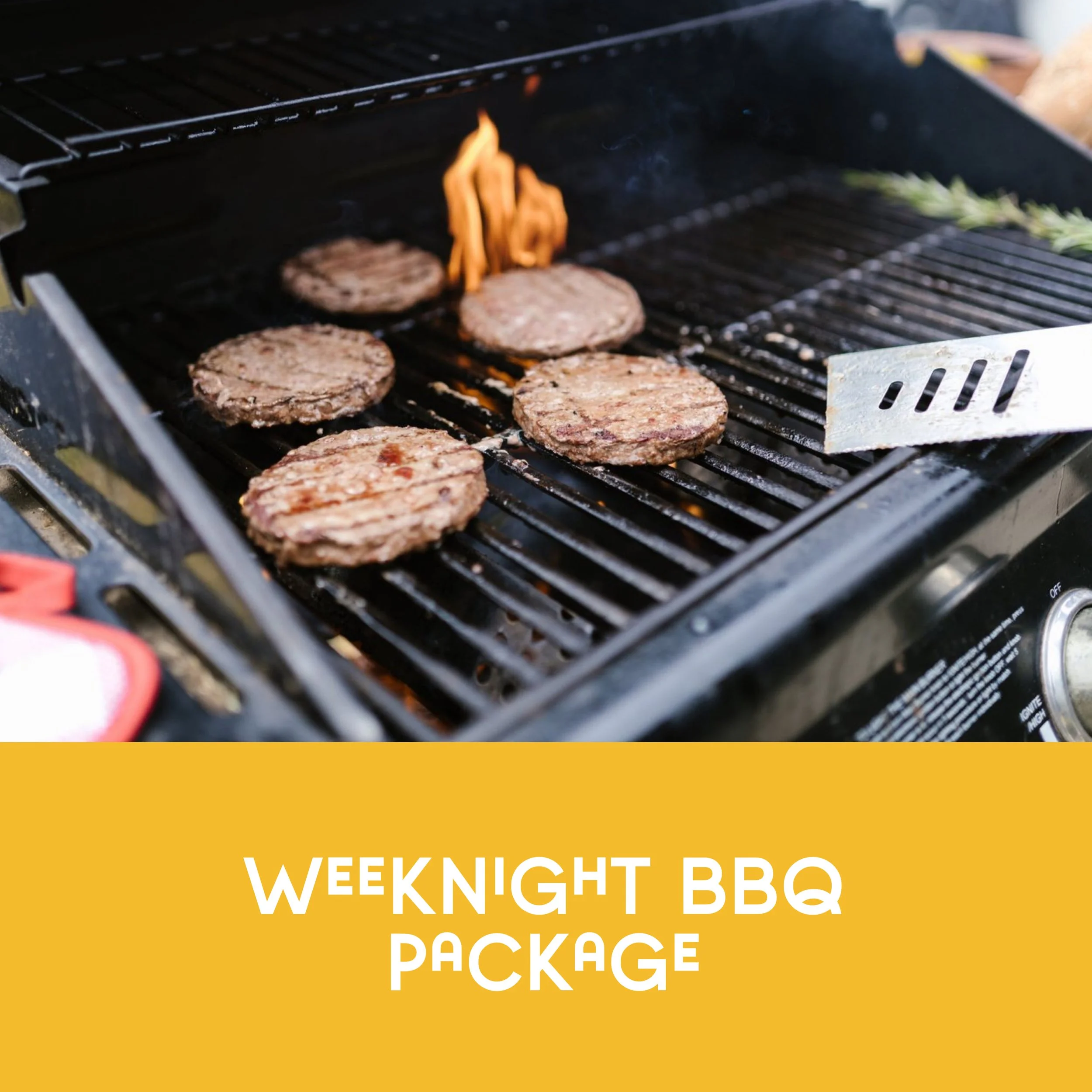 Weeknight Grill Kit