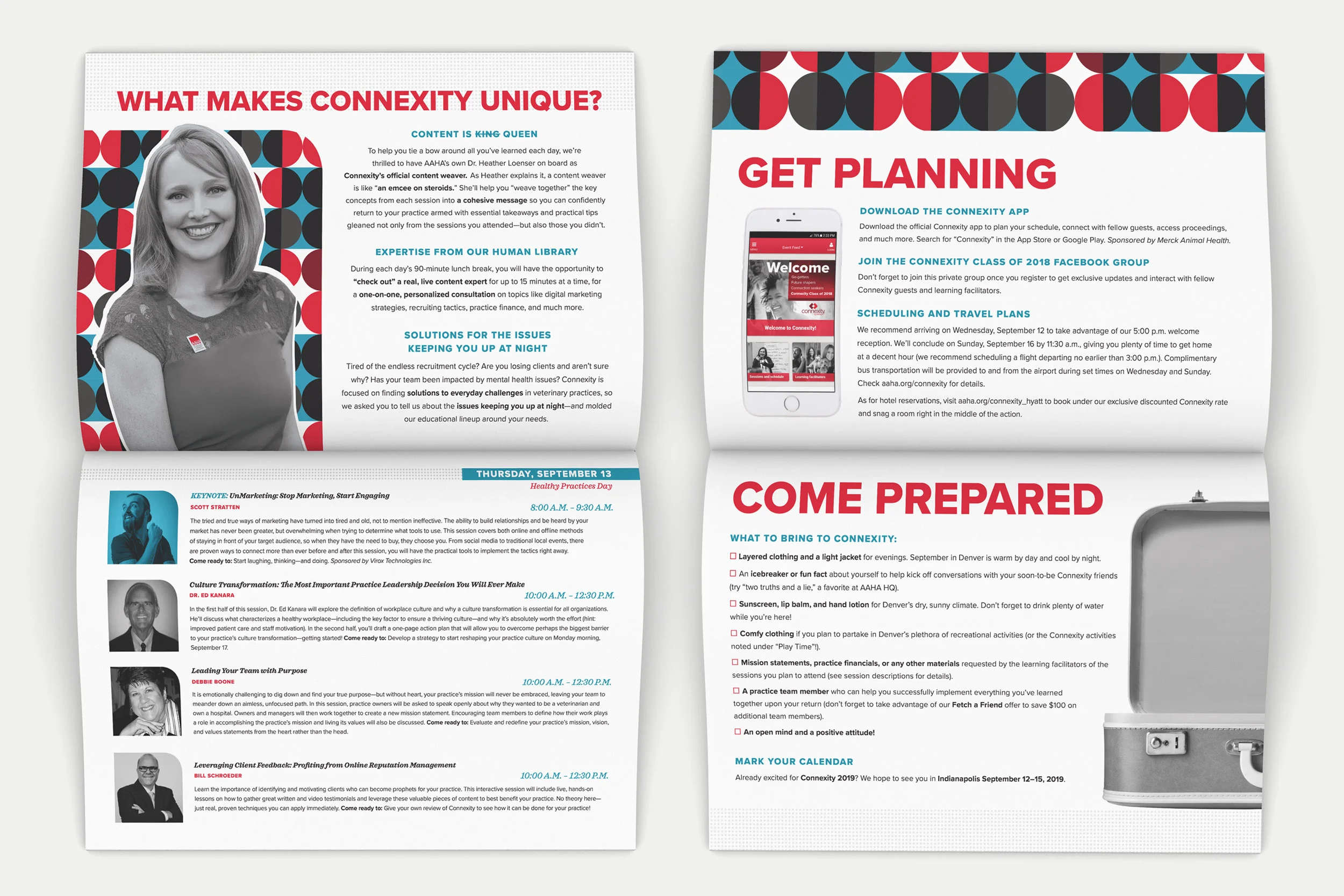 Connexity-7.jpg
