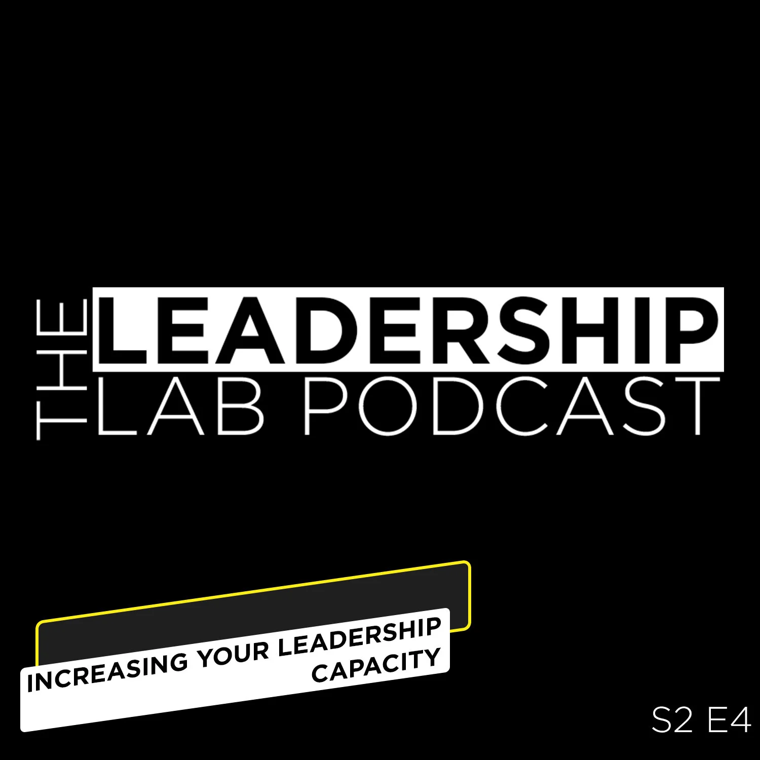Increasing Your Leadership Capacity
