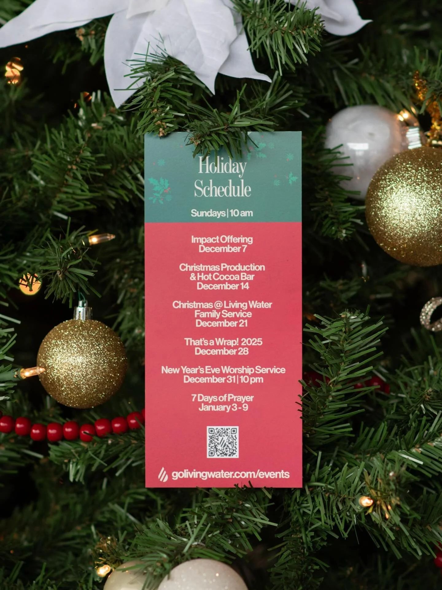 If you haven&rsquo;t seen our holiday schedule yet, here it is! We&rsquo;re looking forward to all the fun and meaningful events happening through the rest of December and into January. ✨🎄