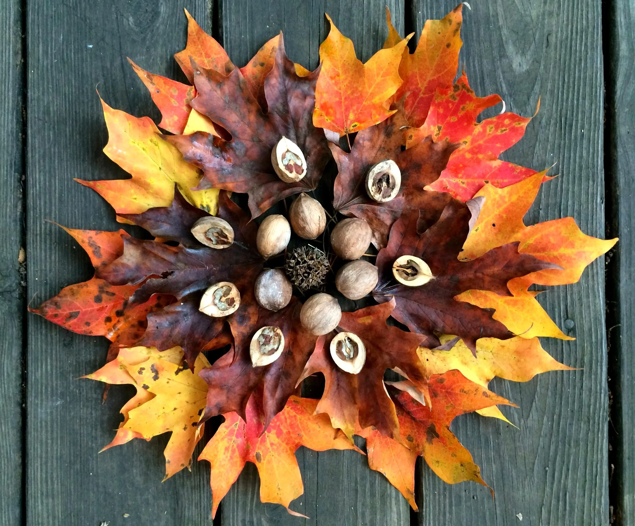 Autumn-Equinox-.jpg