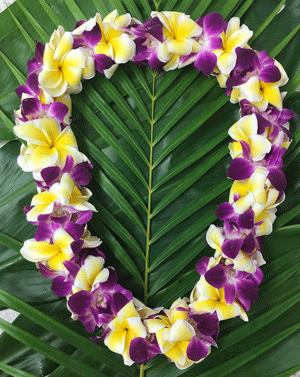 Plumeria Lei