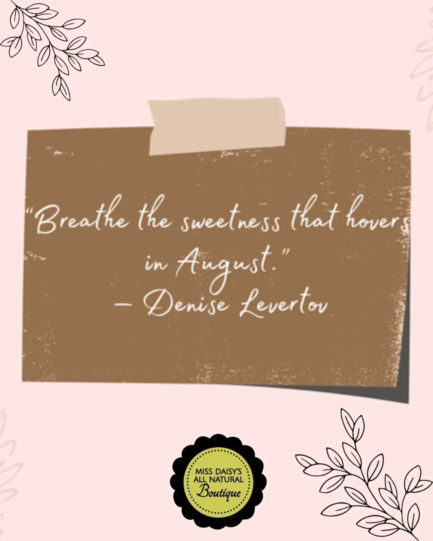 “Breathe the sweetness that hovers in August.”
— Denise Levertov
🌿 August arrives like a golden whisper—
a slow, honeyed stretch of time between summer’s height and autumn’s hush.
It invites us to pause, to breat