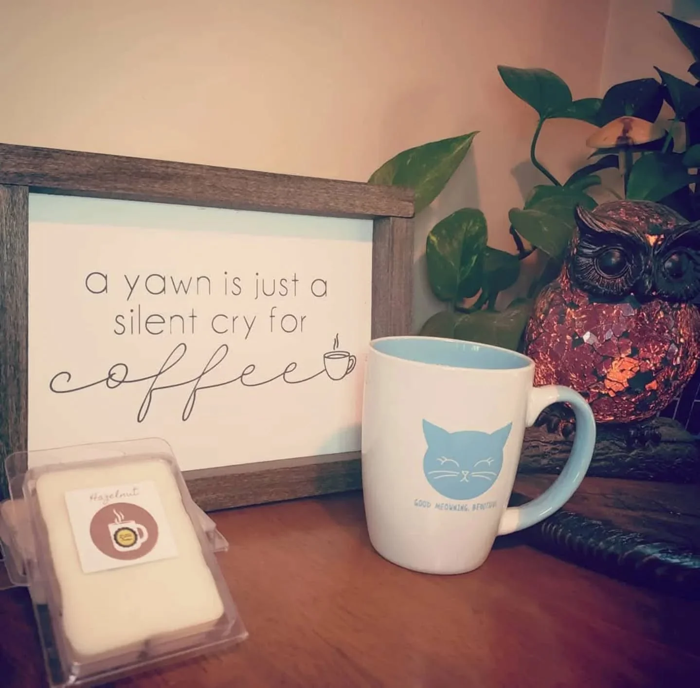 ☕✨ A yawn is just a silent cry for… COFFEE.
And honestly? Same. 😂
Starting Friday with a big mug of “good meowning” energy 🐾 and the cozy scent of hazelnut wax melts drifting through the house. 🕯️💛
Coffee in the cup, coffee i