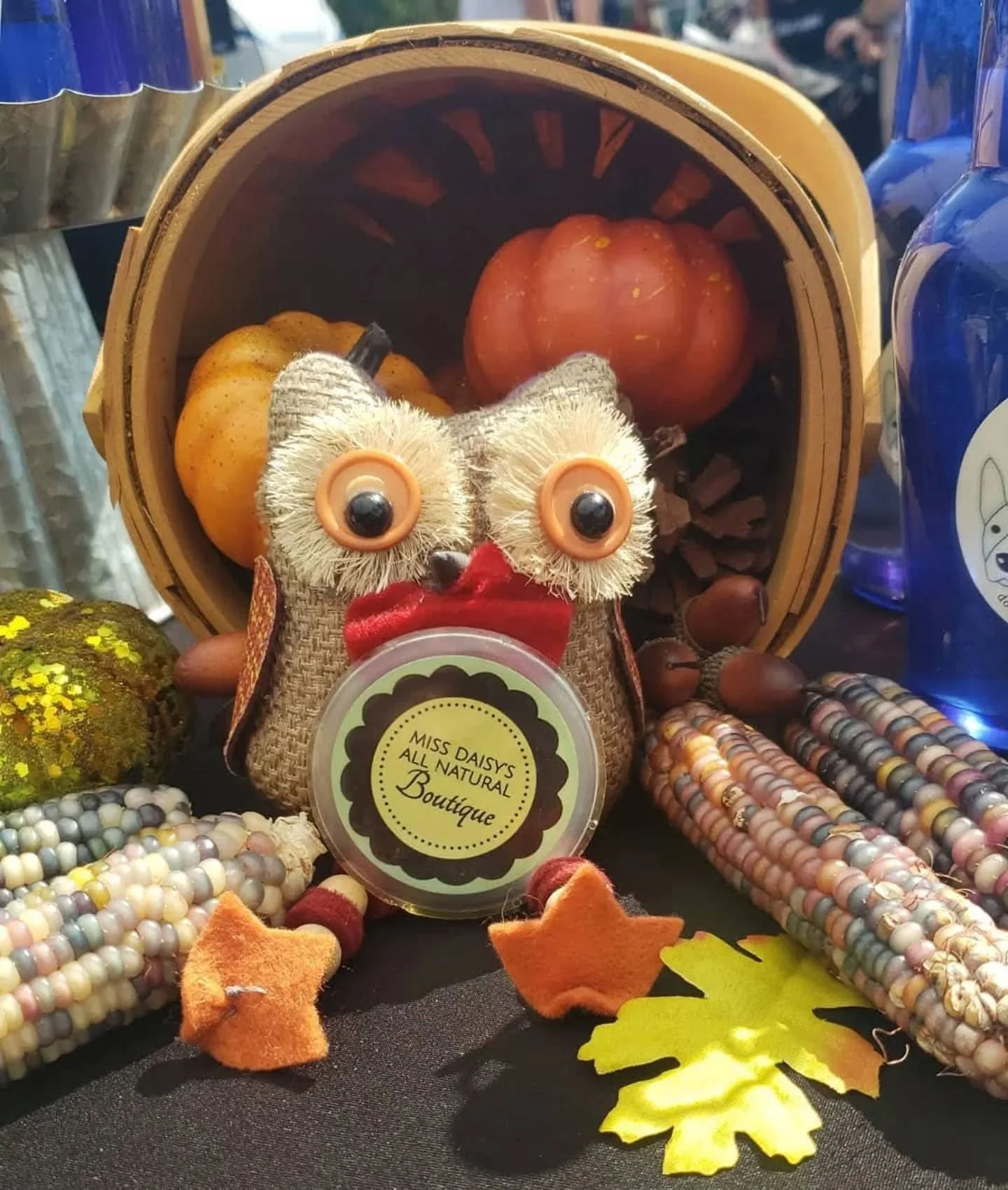 🦉🍂 Say hello to Mr. Owly, the official fall mascot of Miss Daisy&rsquo;s All Natural Boutique! 🍂🕯️

He&rsquo;s perched and ready to welcome the coziest season of all &mdash; surrounded by pumpkins, corn, and all the autumn magic your heart can ha