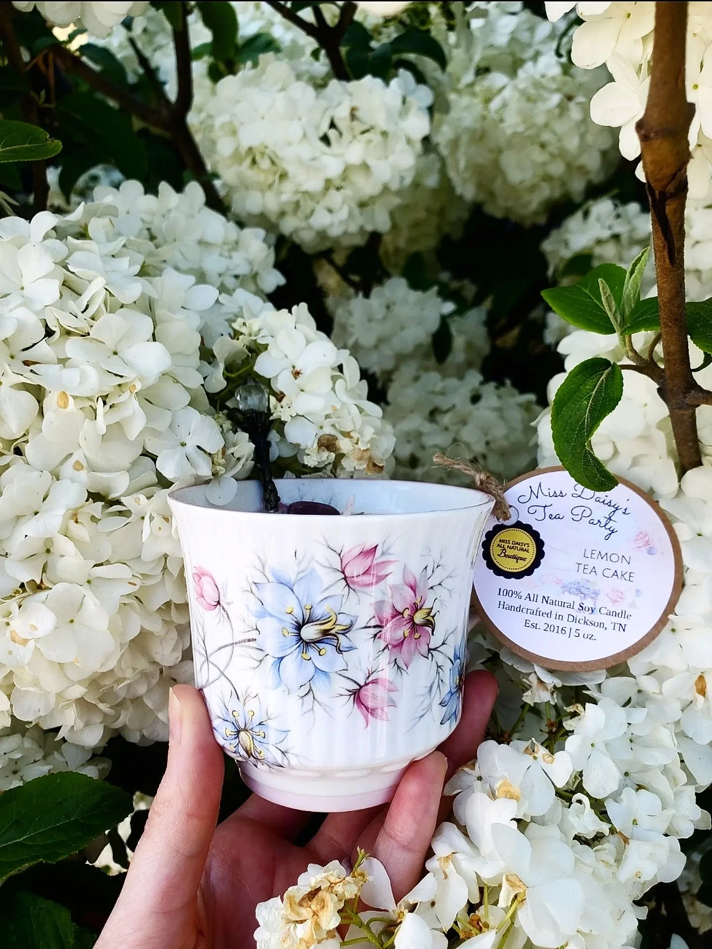 🌿✨ Energy check ✨🌿

🌸Spring always feels like a reset&hellip;
a chance to slow down, breathe deeper, and start again 🌸

Lately I&rsquo;ve been drawn to softer energy &mdash;
peace, clarity, and a little bit of magic in the everyday ✨

🌿🕯️What a