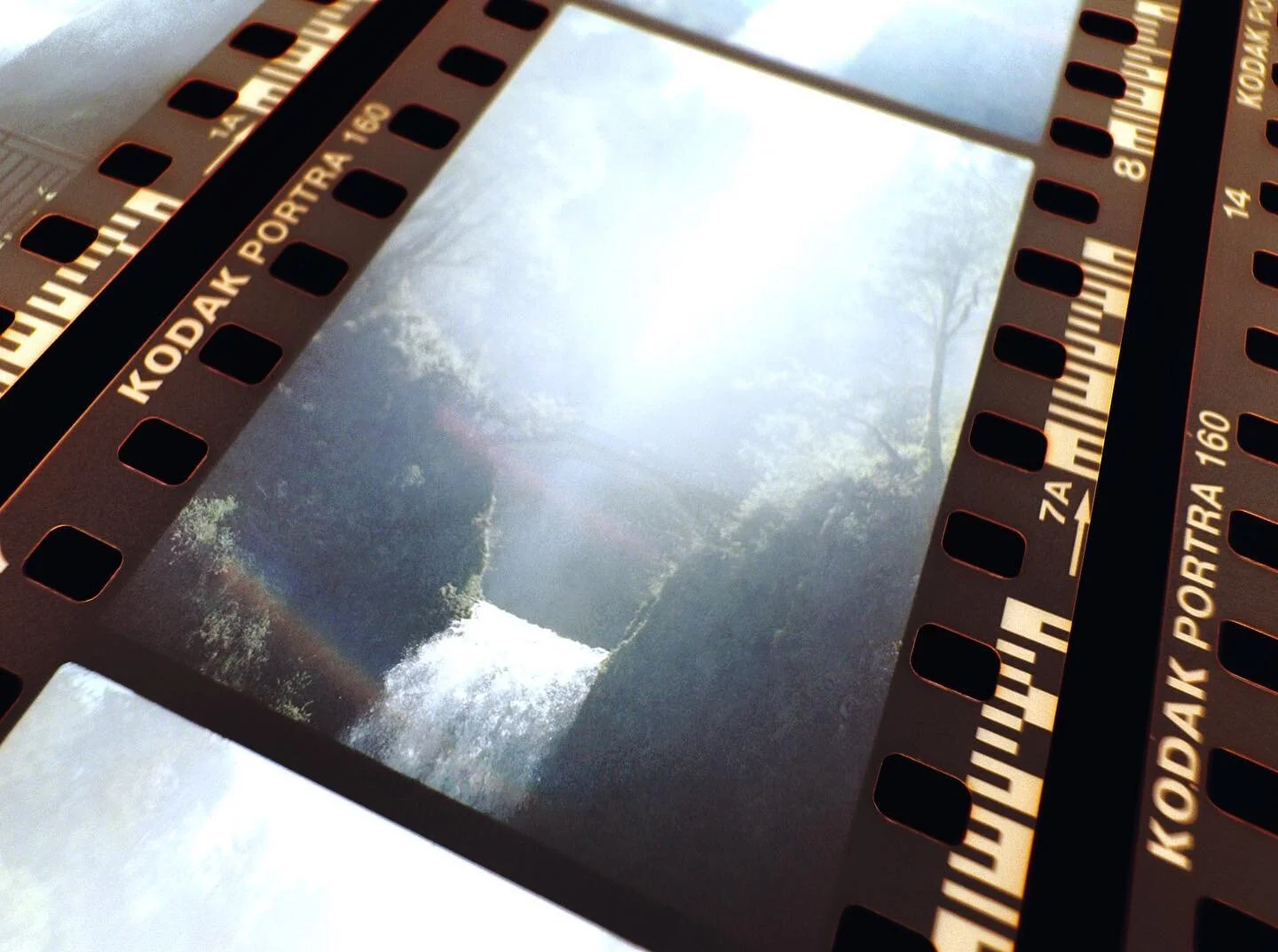 Thinking about you @ryanmuirhead. Sometimes the most beautiful sights can only be seen from the bottom. Love you bud.

#film #filmphotography #filmnegatives #archiveyourfilm