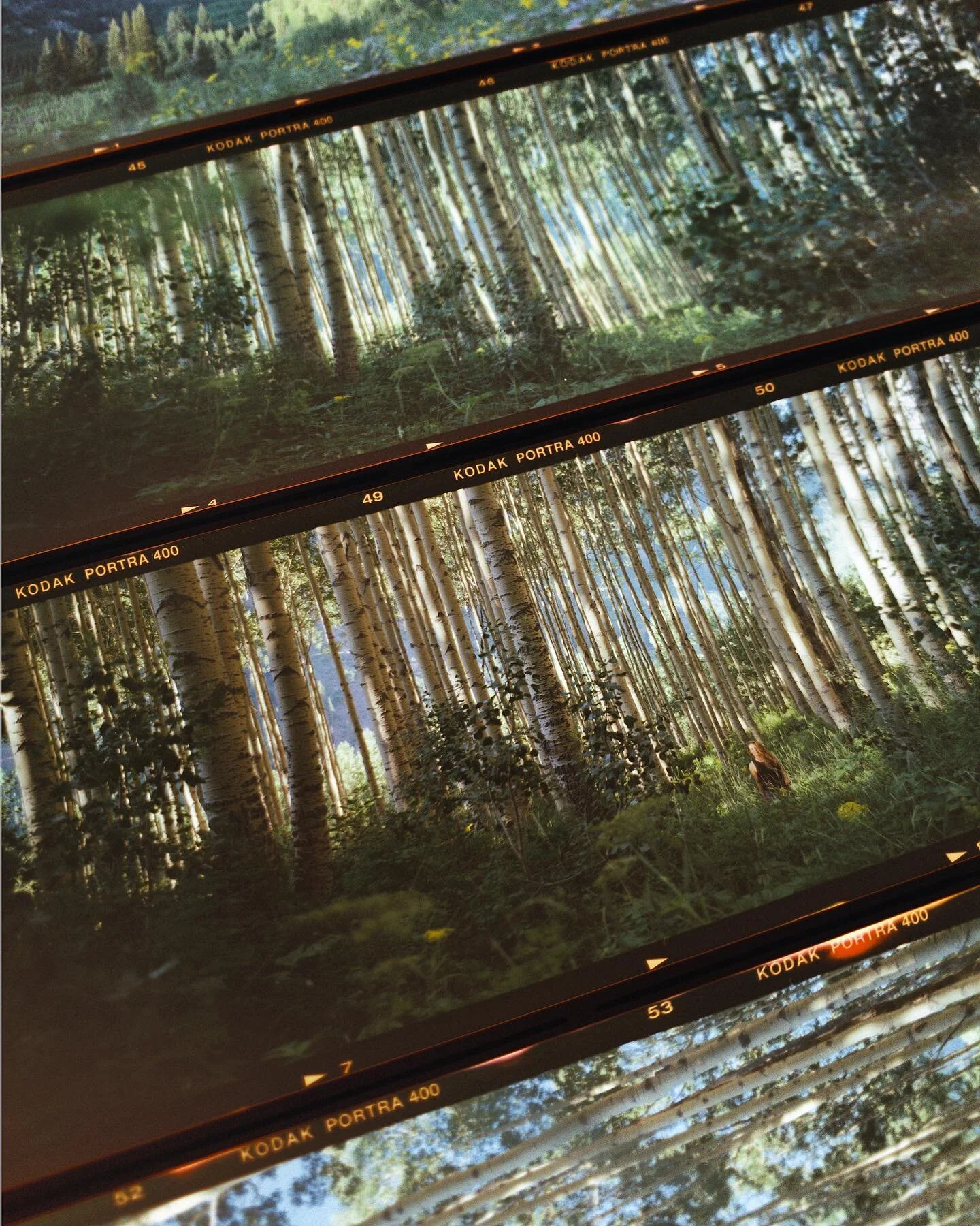 @willsardinskymedia absolutely blowing my mind with these 6x17&rsquo;s!
- -
#filmhound #filmarchivalservices #contactsheet #archiveyourfilm #artifactofthemoment #artifactstoheirlooms #indiefilmlab