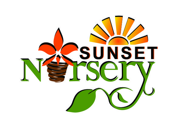 Sunset Nursery