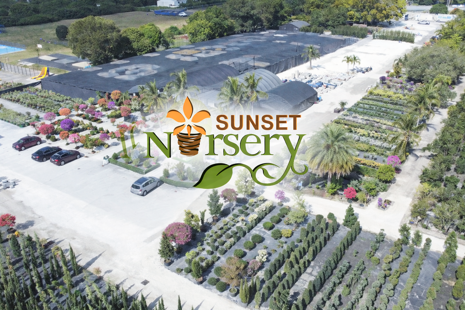 ChatGPT Image 5 ene 2026, 01_14_53 p.m..png