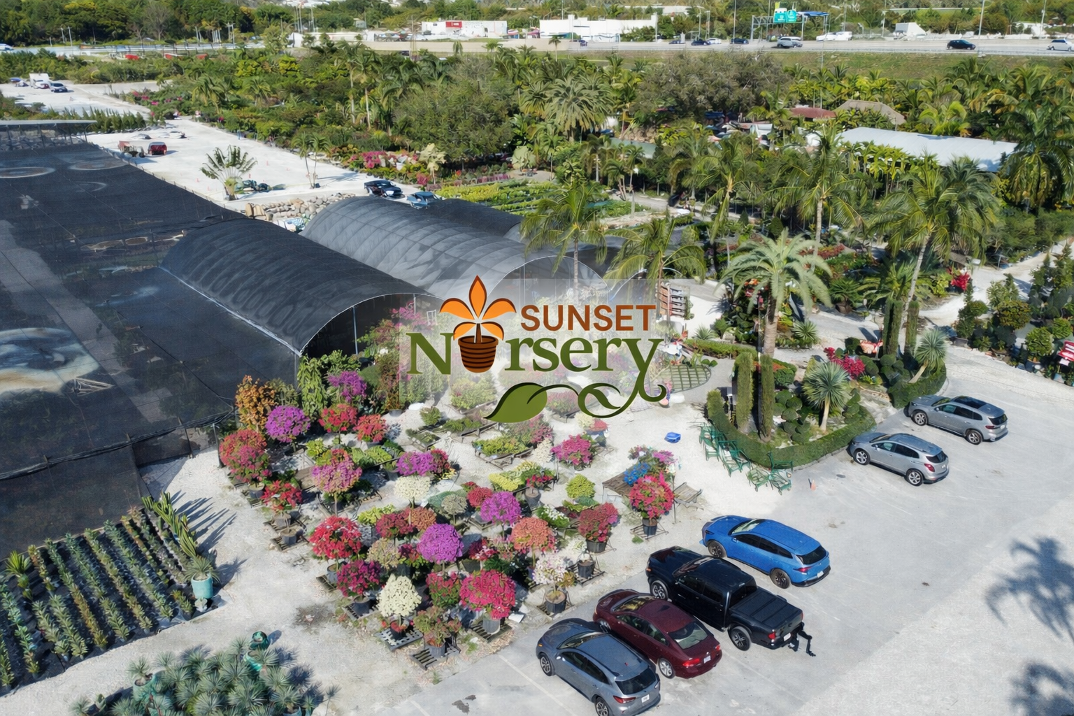 ChatGPT Image 5 ene 2026, 03_52_18 p.m..png