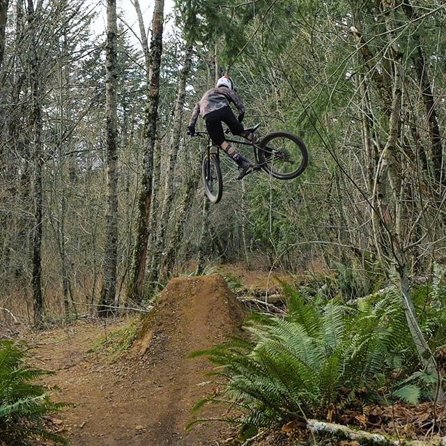 Getting comfortable on the @diamondbackbike sync'r carbon hardtail! 
#daplow #ledgeview #mtb #hardtail #freeride #fullsend