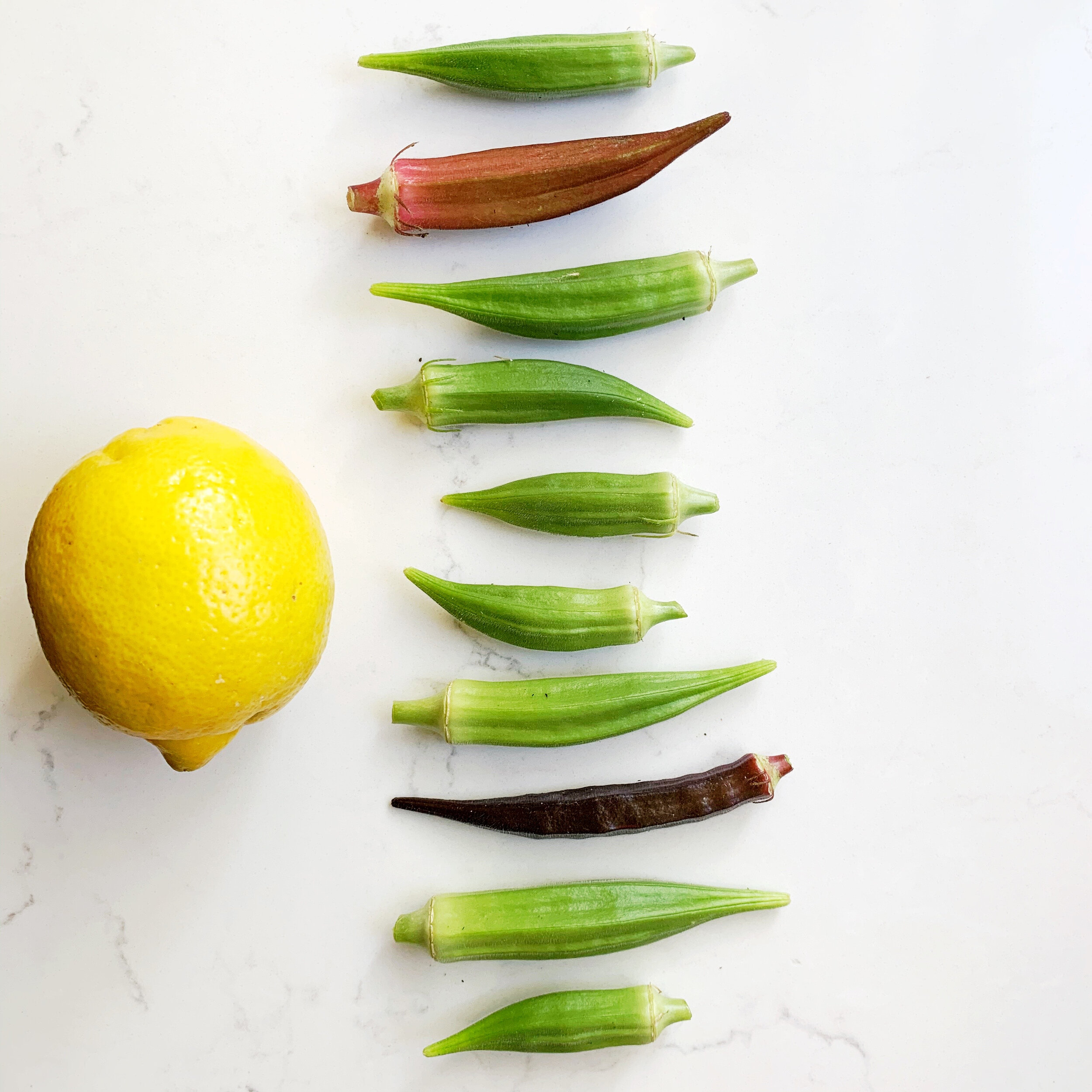 grilled okra