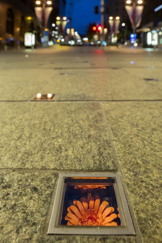 2017_December_Reflection_RichardJohnsonJessDare_PhotoBrettBoardman_000917.jpg