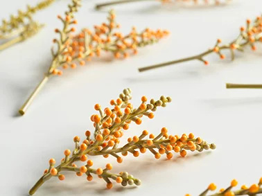 Waning Acacia: Impossible to Hold (Detail)