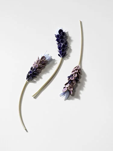 Journal Flowers, 2019