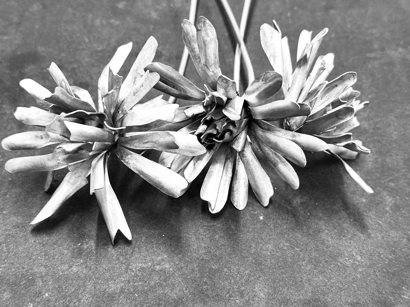 New flowers on the bench&hellip;.

#foreverbloom #gerbera #flowers #funerary #loss