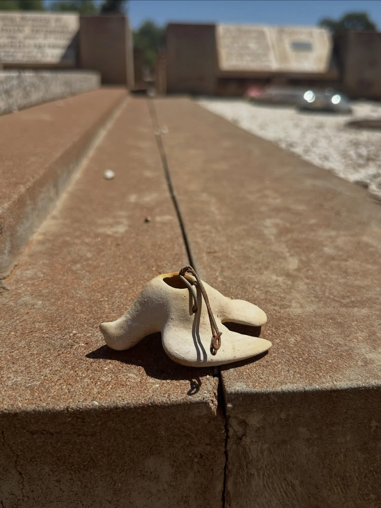 Broken Hill Cemetery, February 2026

#brokenhill #immortelle #mondaymourning #cemetery #thesethingsthatcatchmyeye