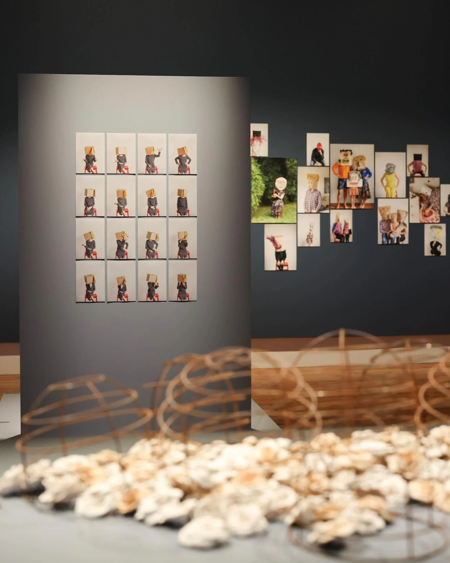 REPOST&bull; @qvmag_official FINAL CALL: Beautiful Tensions closes this Sunday. 

This remarkable exhibition brings together the distinct voices of Jess Dare, Lisa Furno, Catherine Truman and Sue Lorraine, the four current partners of Gray Street Wor