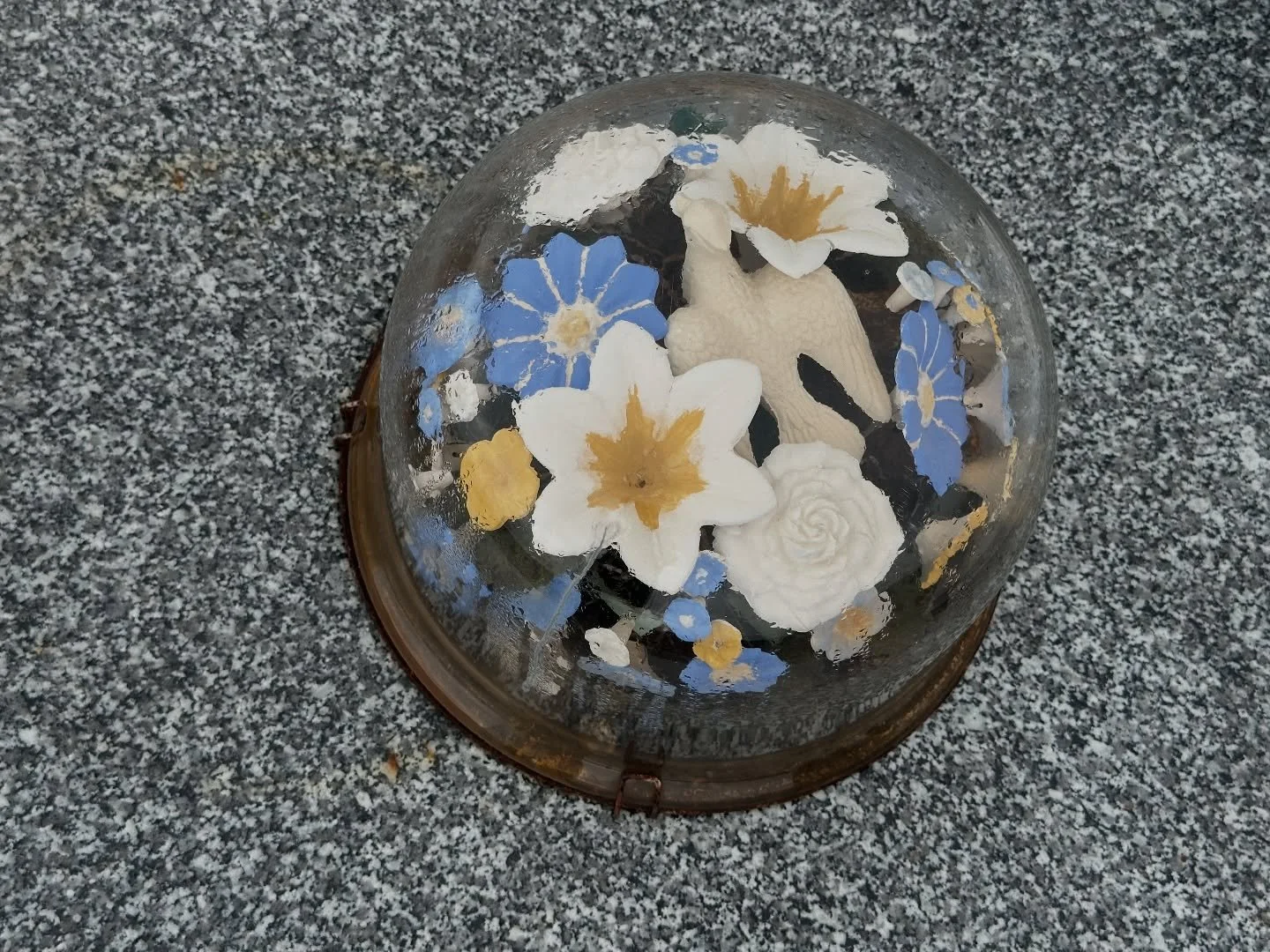 Dewy immortelles with touches of cornflower blue and golden yellow.

Broken Hill, February 2026.

#mondaymourning #jessdare #immortelle #offering #griefandloss