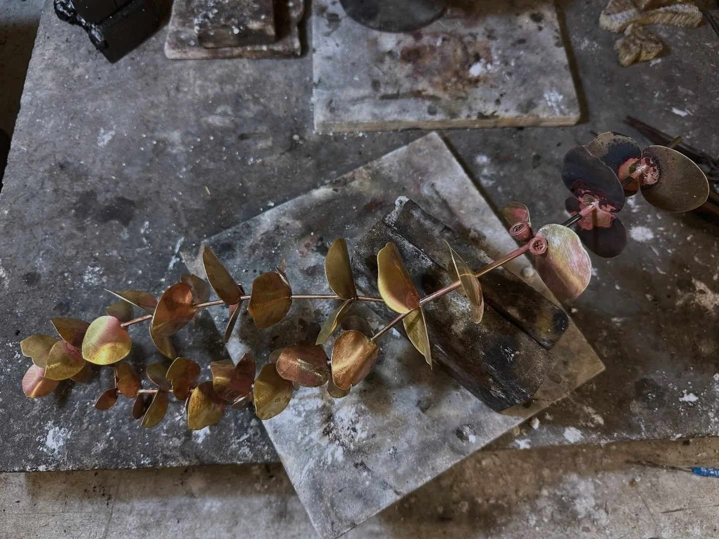 Eucalyptus sprays rapidly outgrowing the pickle.

#artistinresidence #residency @adelaideuni