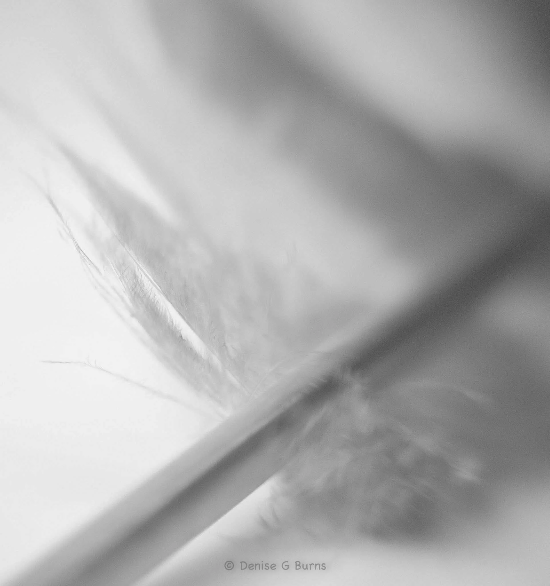 DSC_1885.jpg