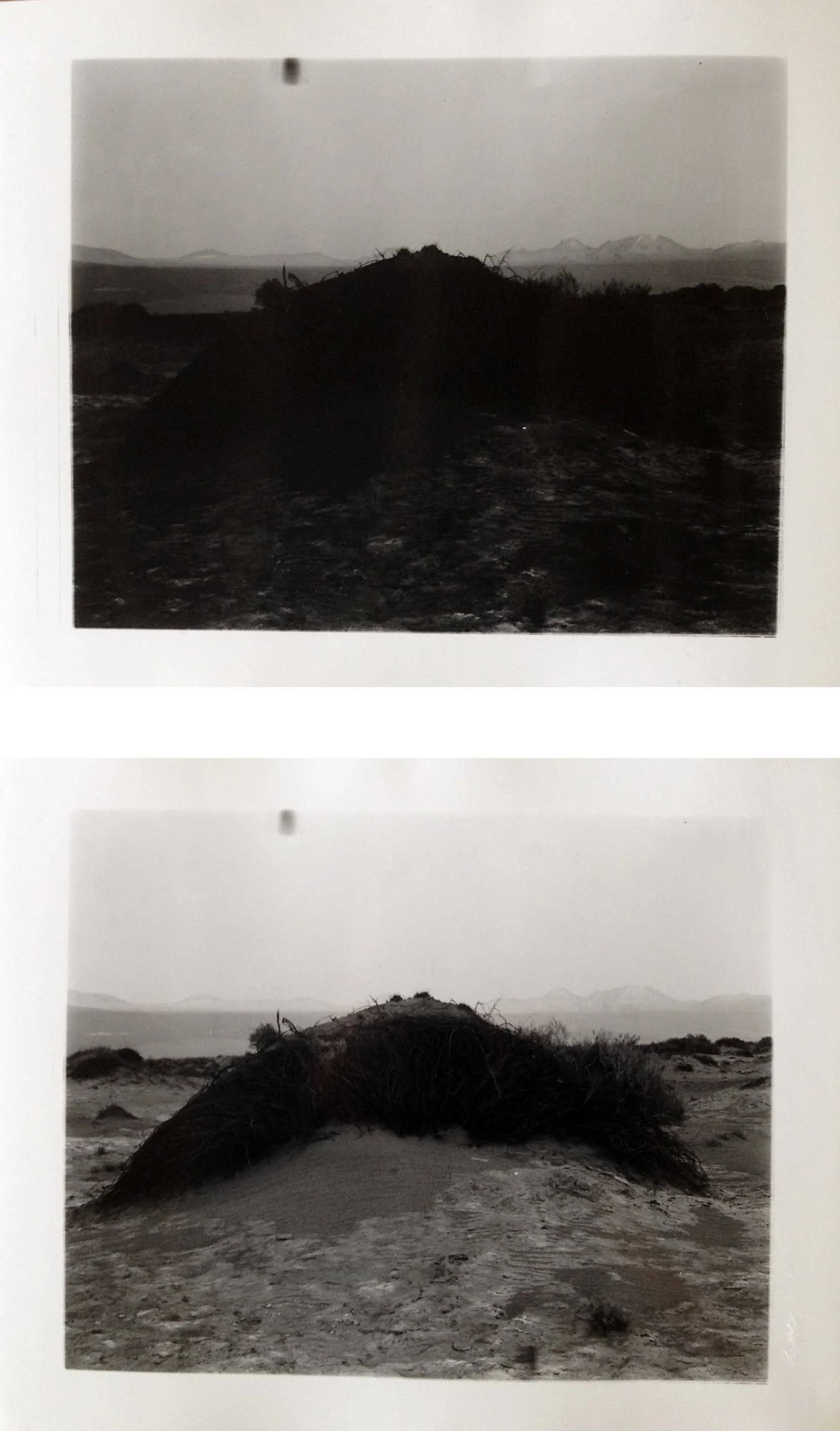 Atacama Mound, 2016 silver gelatin prints 8 x 10" diptych