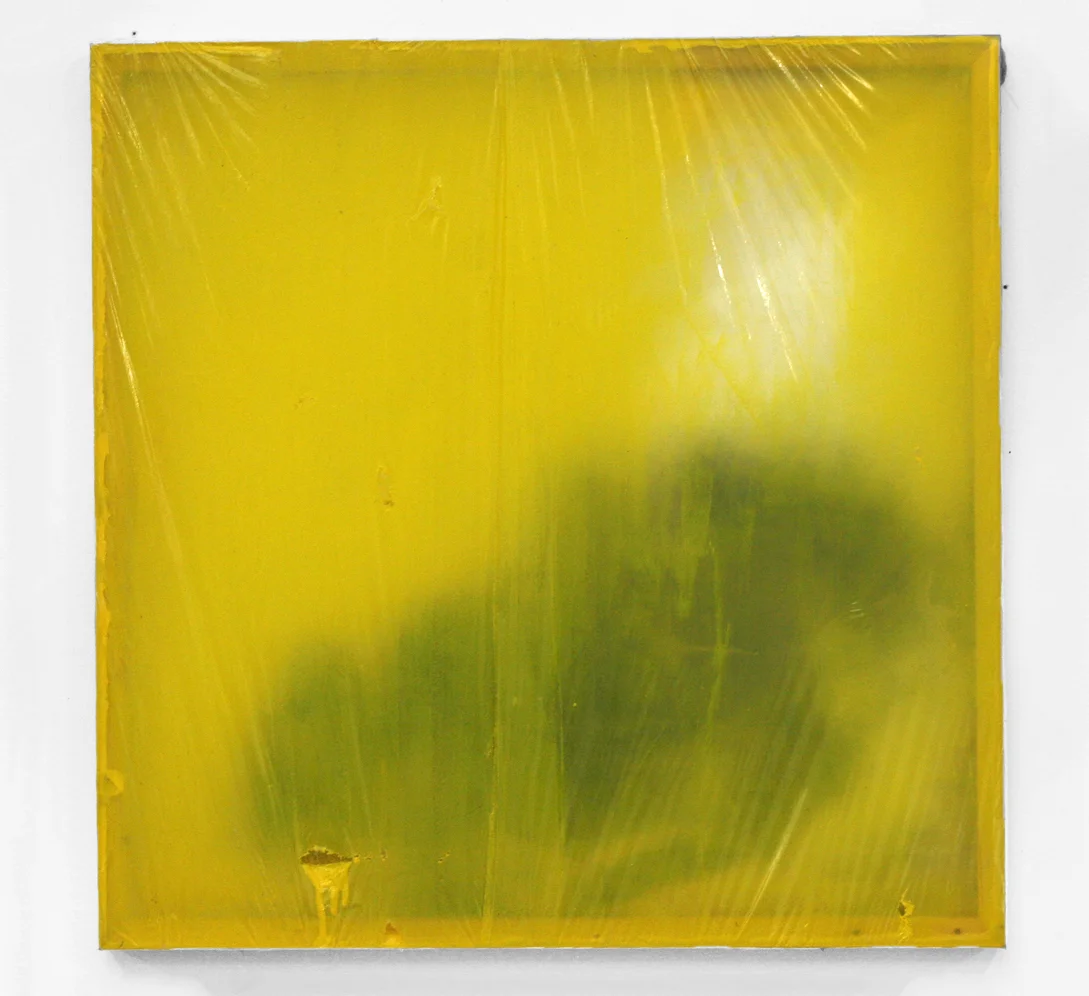They call it transference, 2011 wood, fabric, spray paint, plastic, acrylic 24 x 24”