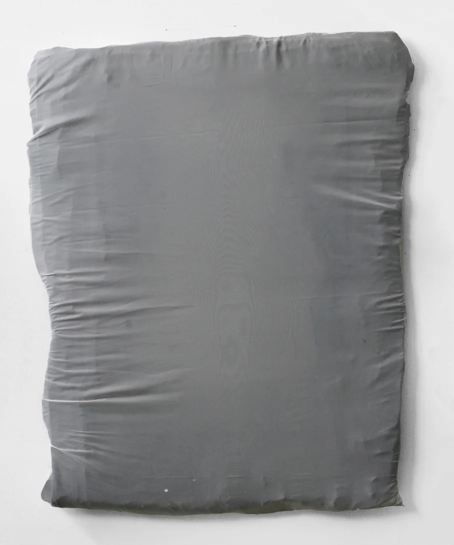 Untitled, 2011 wood, resin, fabric, acrylic 26 x 40”