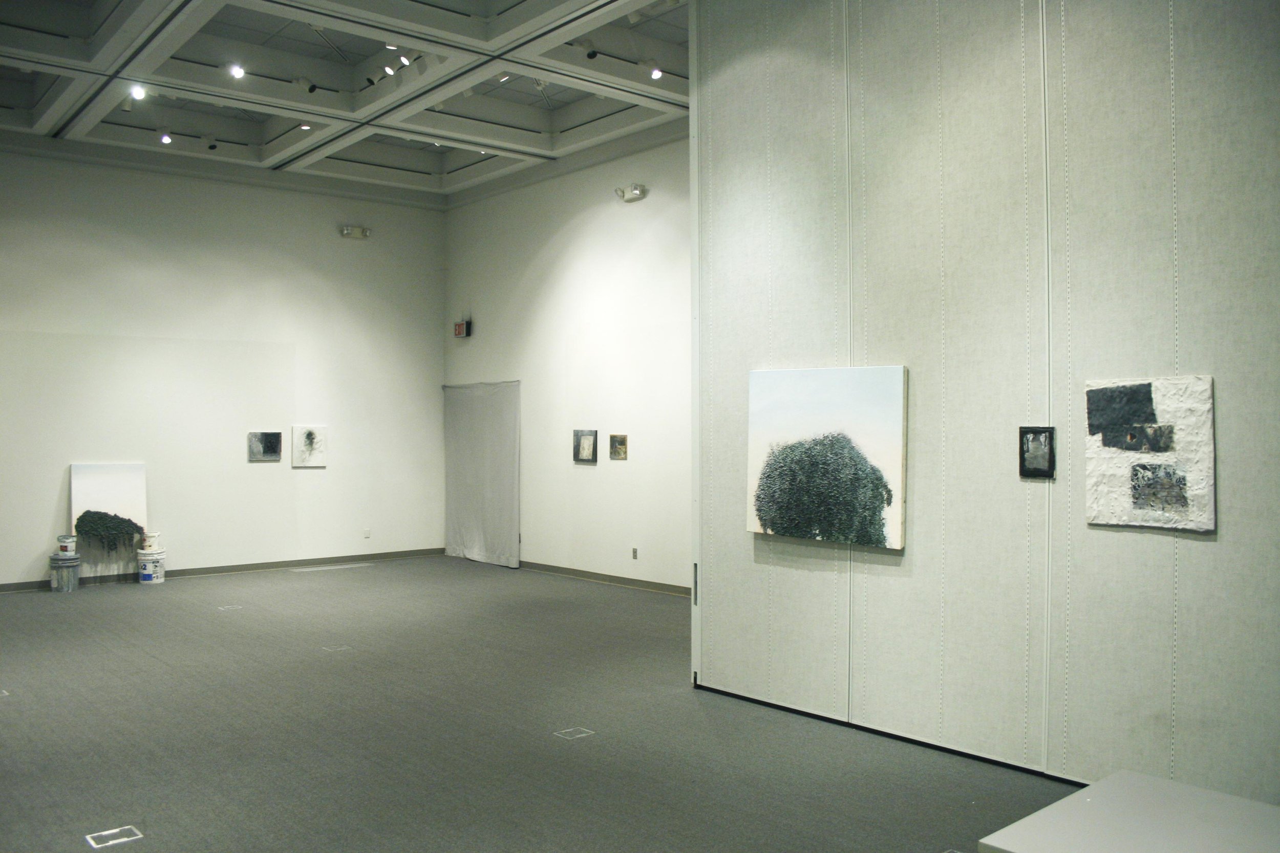 Installation view, 2014   Grays Pinks &amp; Blues   Jones Gallery, Bakersfield    