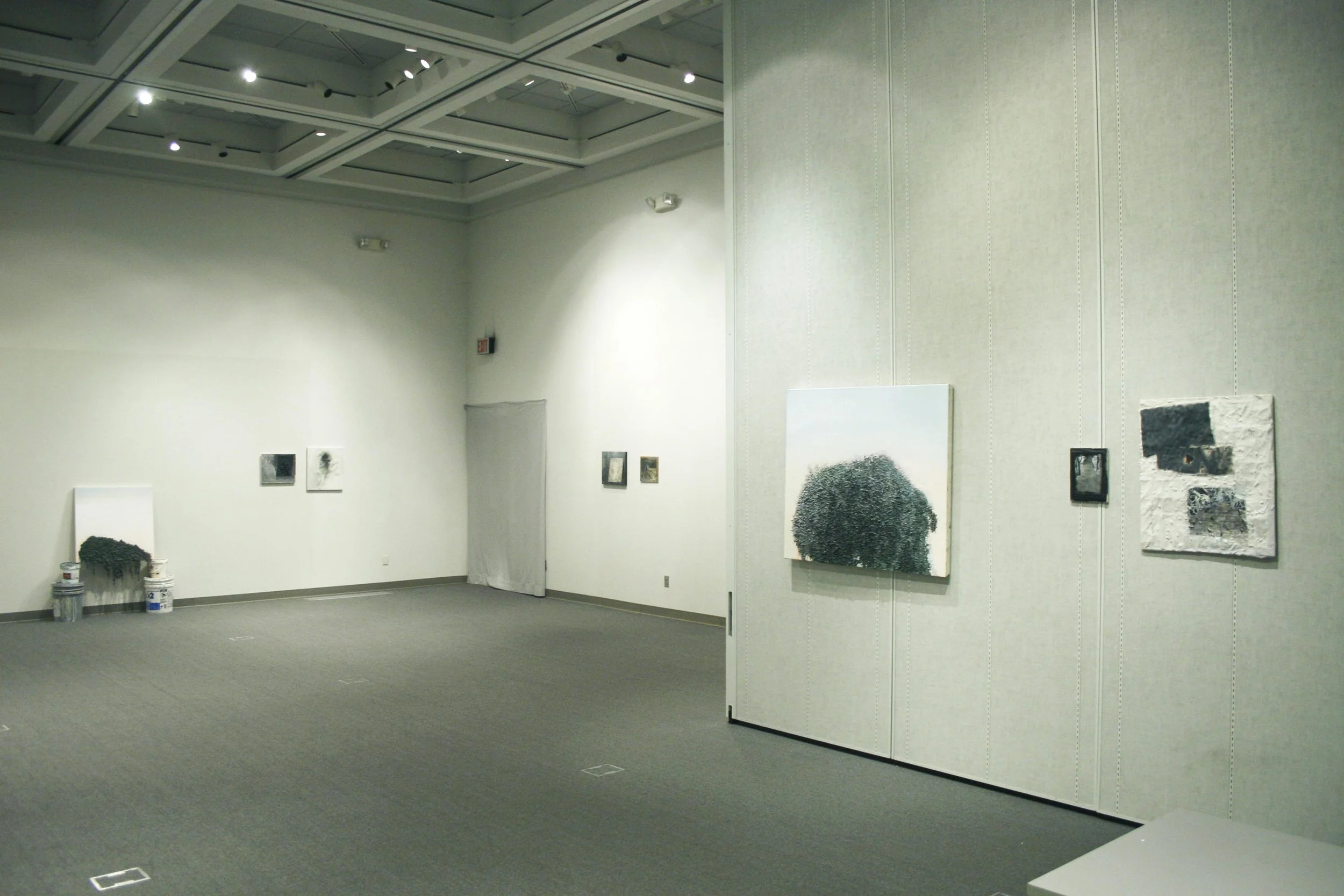 Installation view, 2014 Grays Pinks & Blues Jones Gallery, Bakersfield