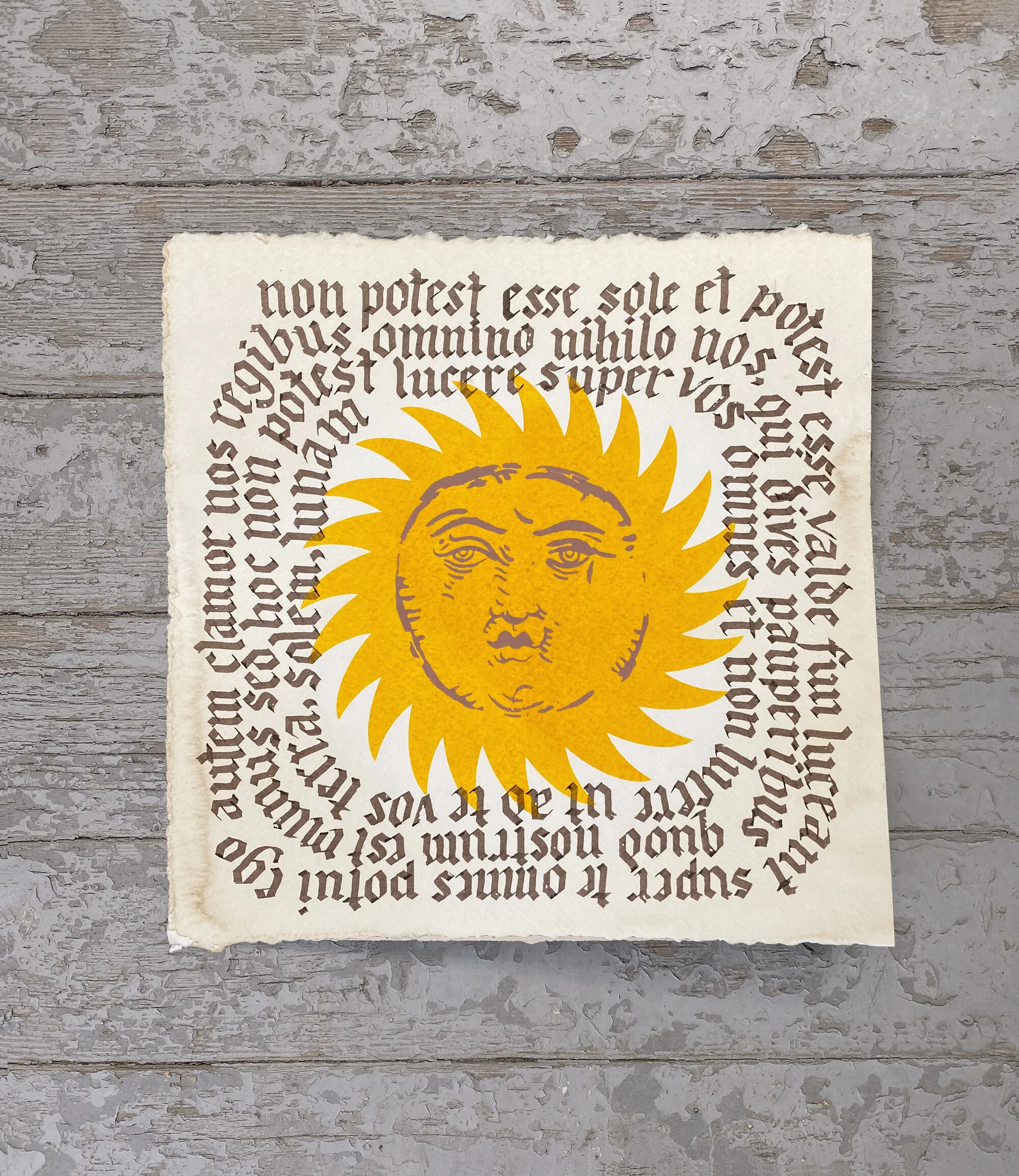 SavannaSnow_LR_Sun.jpg