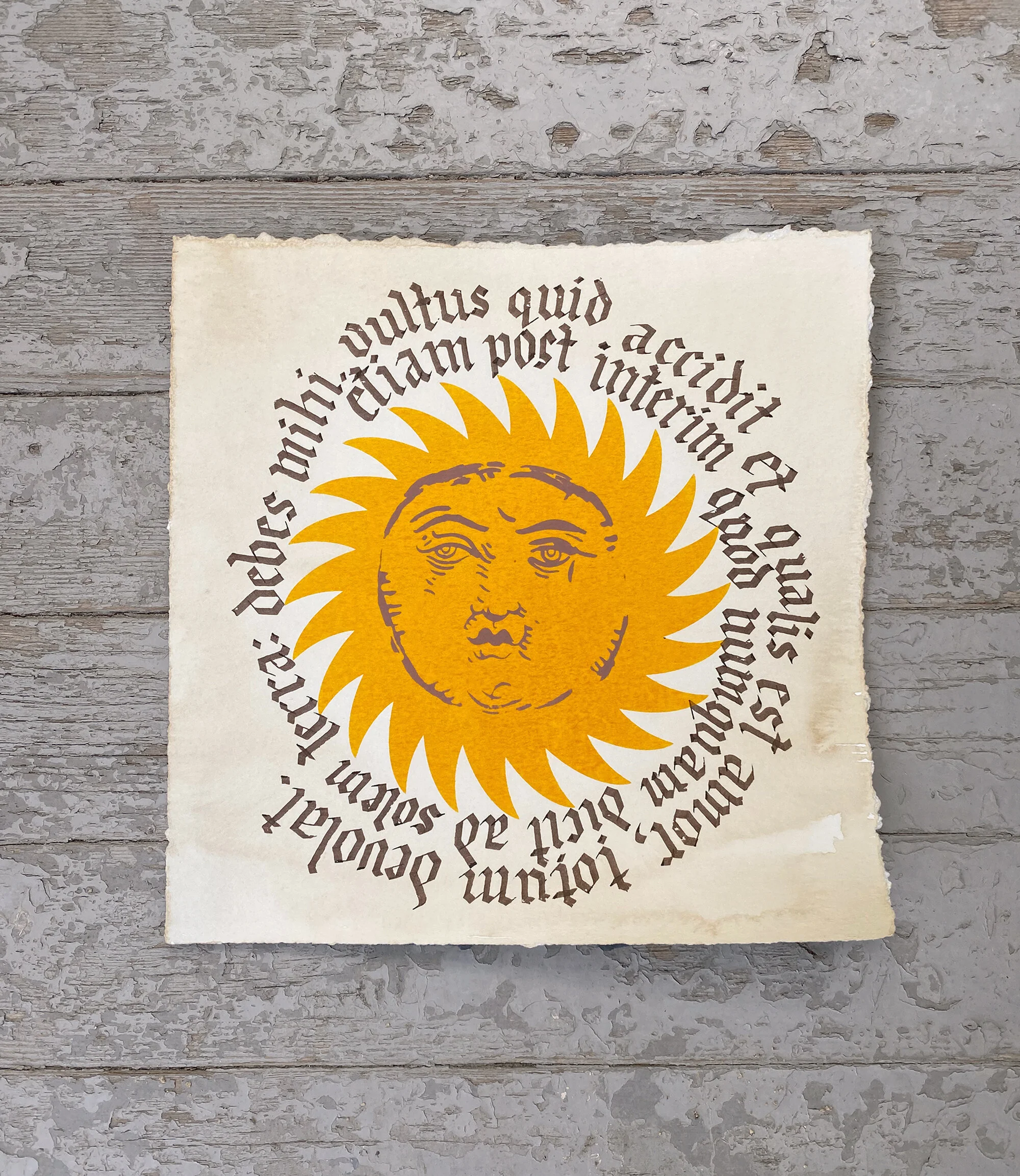 SavannaSnow_Hafiz_Sun.jpg