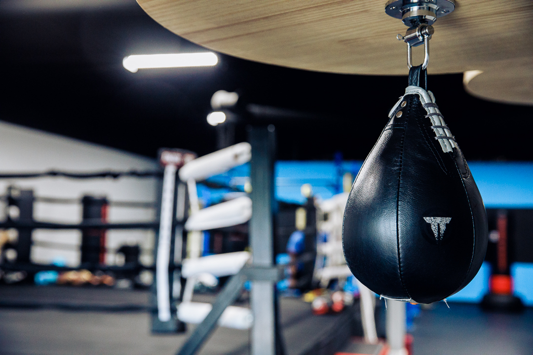 Speed bag and ring.jpg