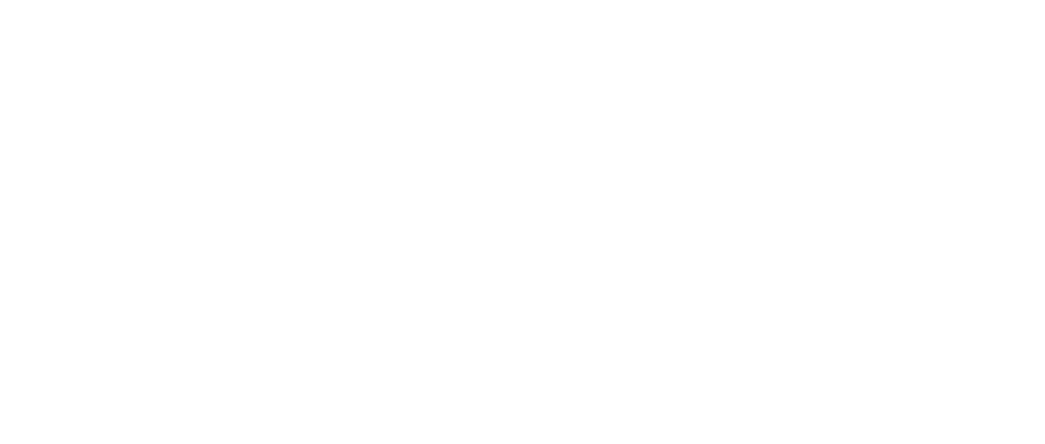 Strength and Strike Fitness