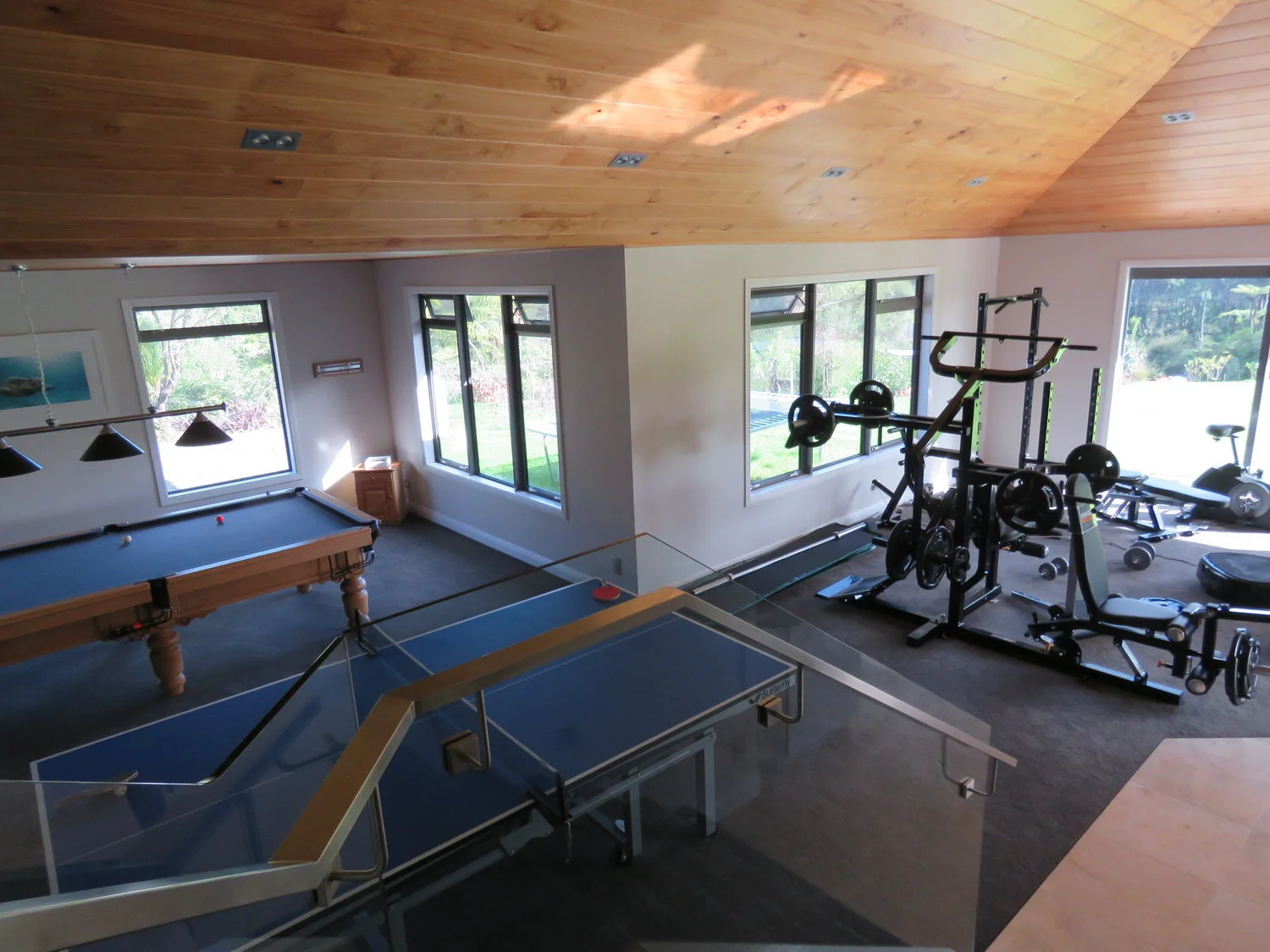 Albany Games room and gym
