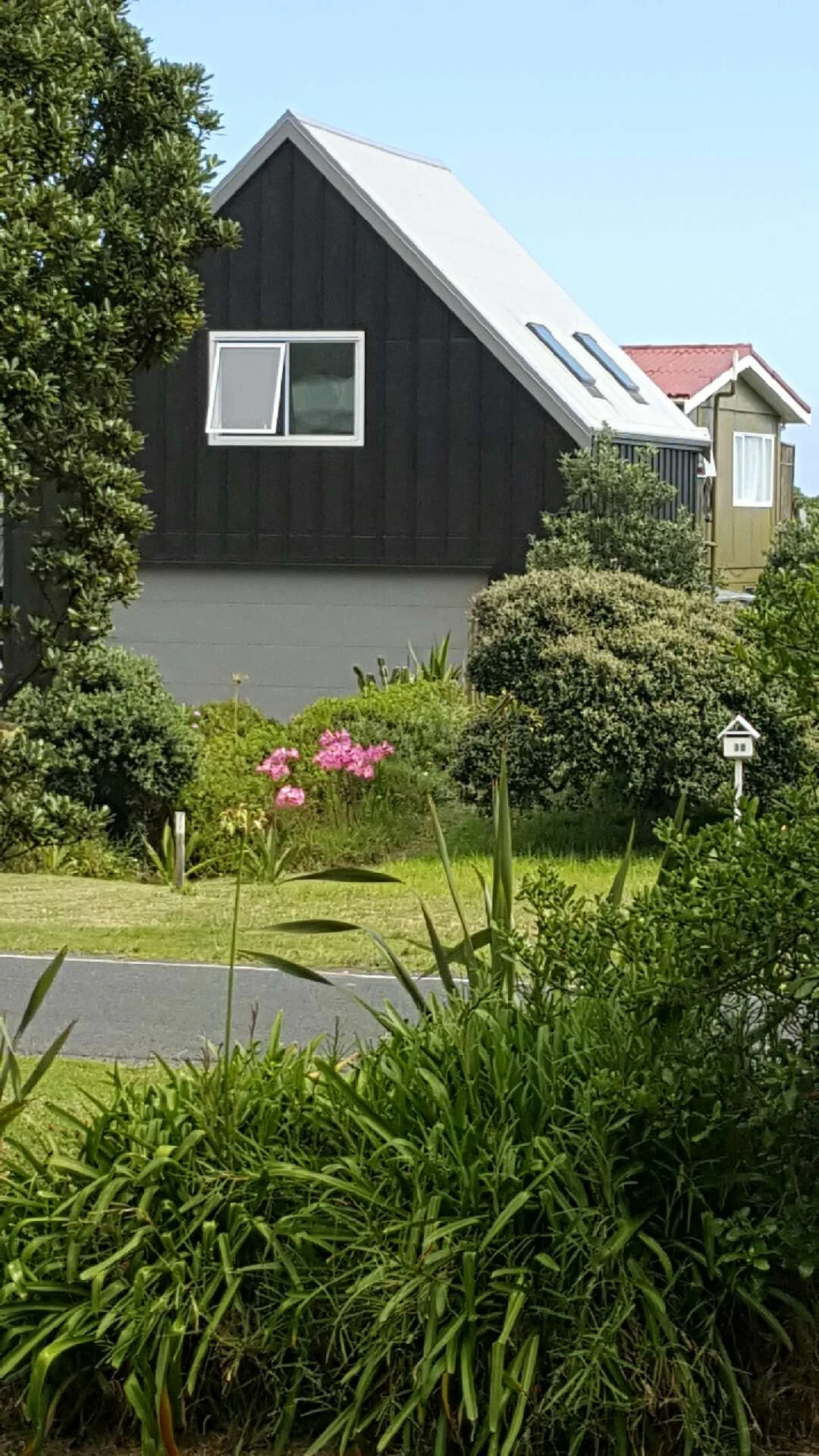 170327 Piha pic 2.jpeg