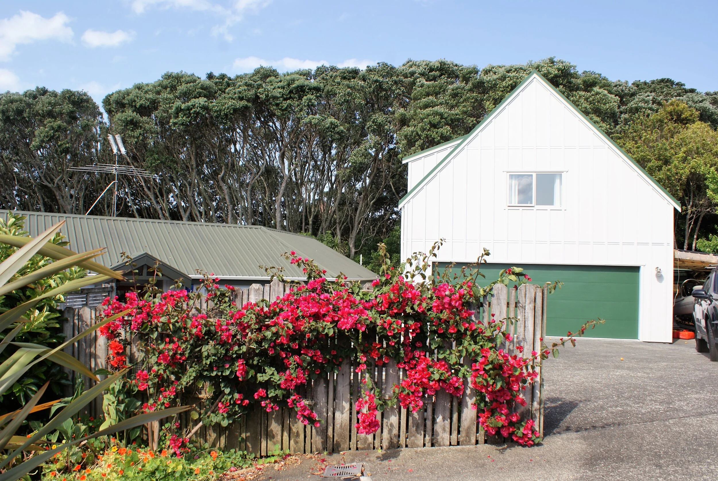 2019-12-05 15.49.12.jpg